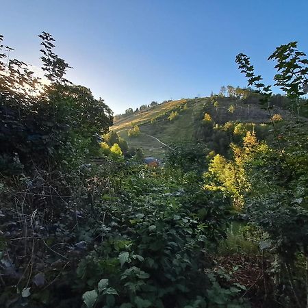 Platell Ferienhausverwaltung Sankt Andreasberg Buitenkant foto