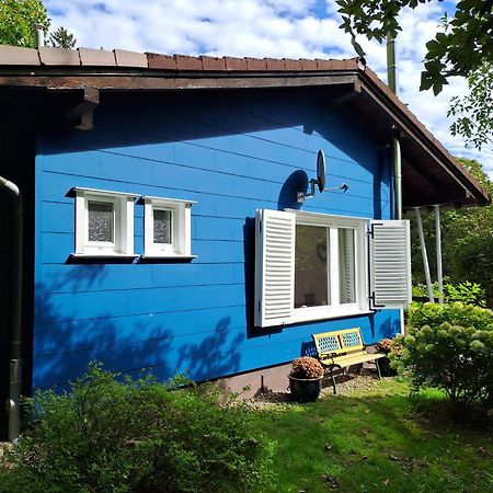 Platell Ferienhausverwaltung Sankt Andreasberg Buitenkant foto
