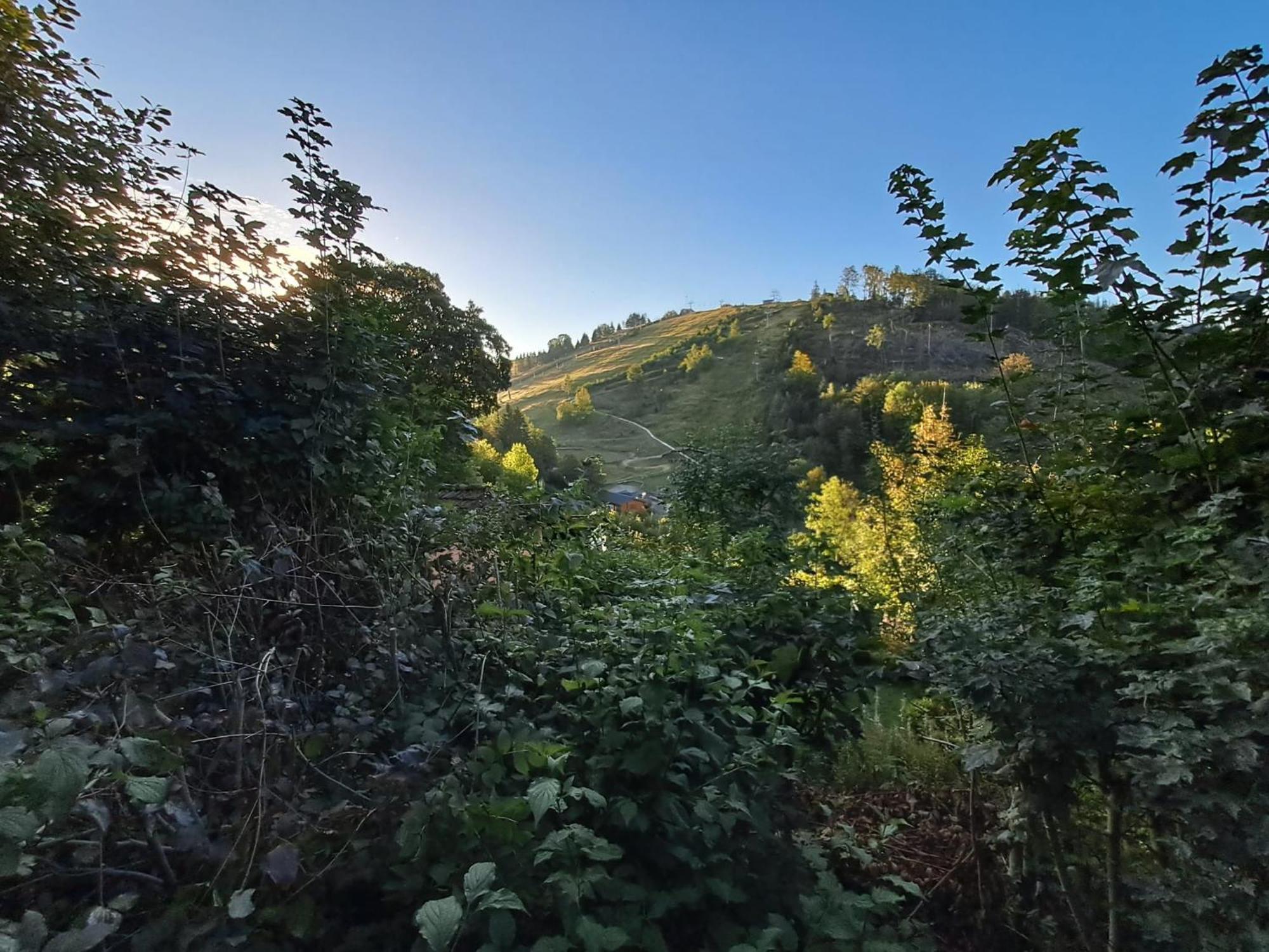 Platell Ferienhausverwaltung Sankt Andreasberg Buitenkant foto